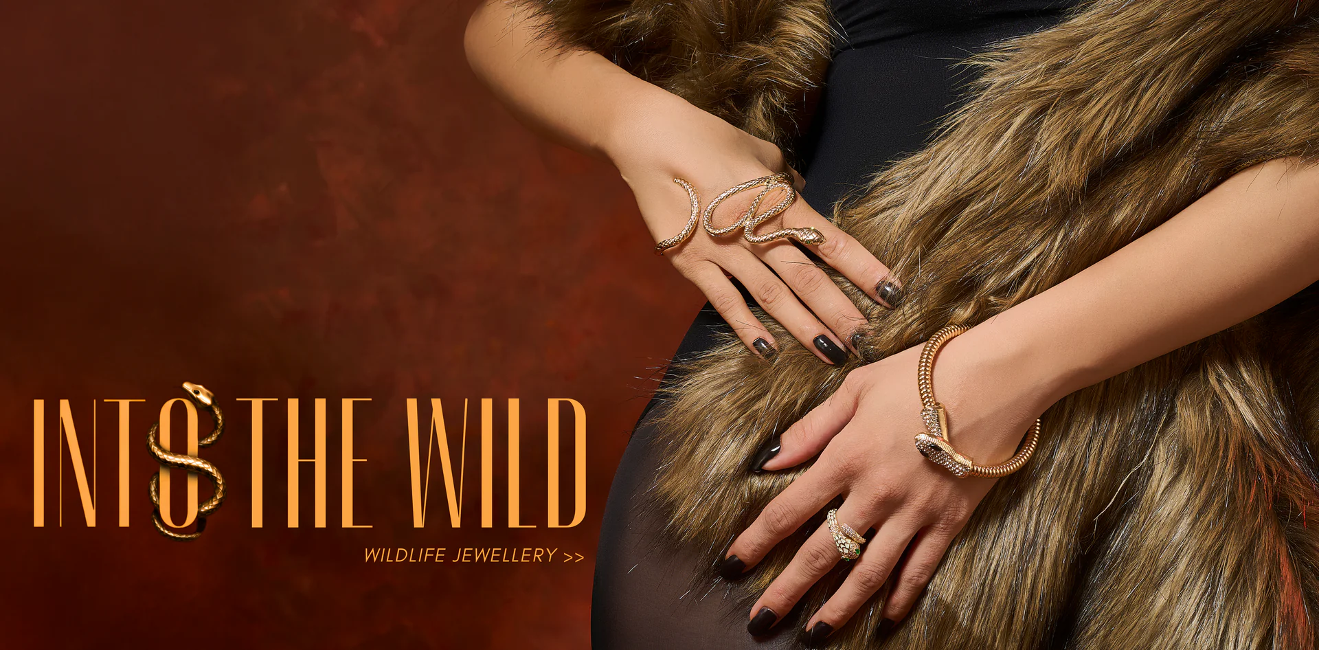 Timeless Elegance, Modern Edge